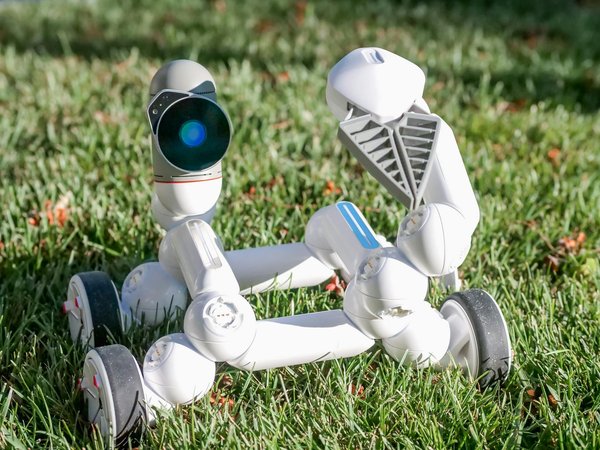 L'Essor du Marketing d'Influence : Tendances et Meilleures Pratiques